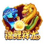 Www.yxvip777.com